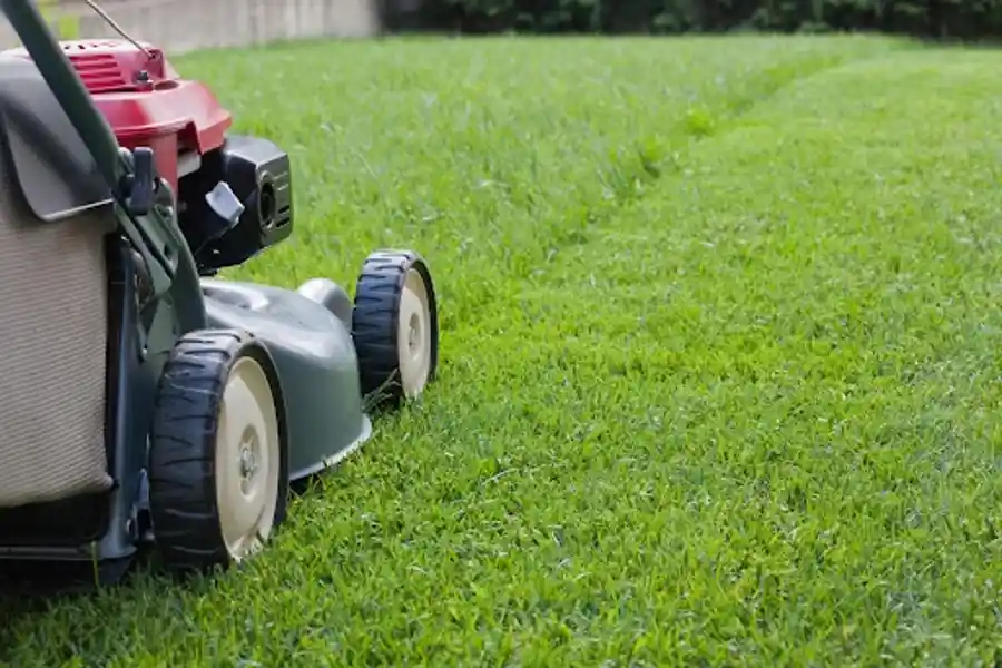 Lawn mowing by JC and Sons Landscaping